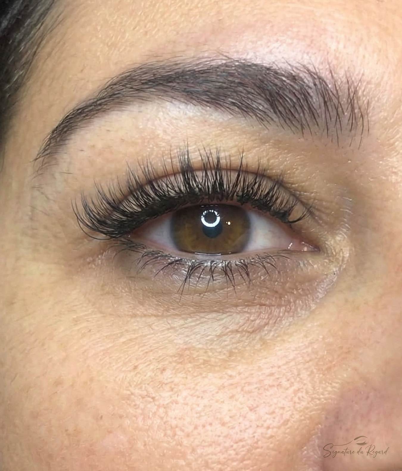 Cils marrons
